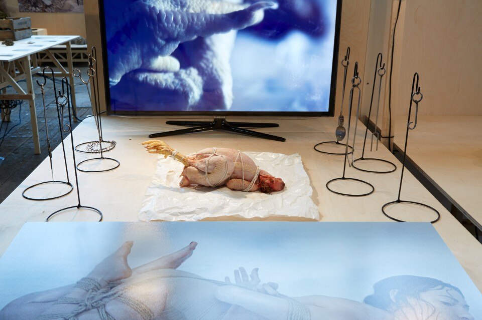 Benedetta Martino, Daily Fetish