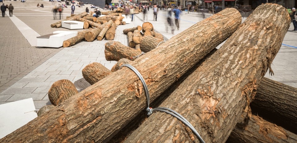 Kanva, A thousand logs on Sainte Catherine Street, Montréal, Canada