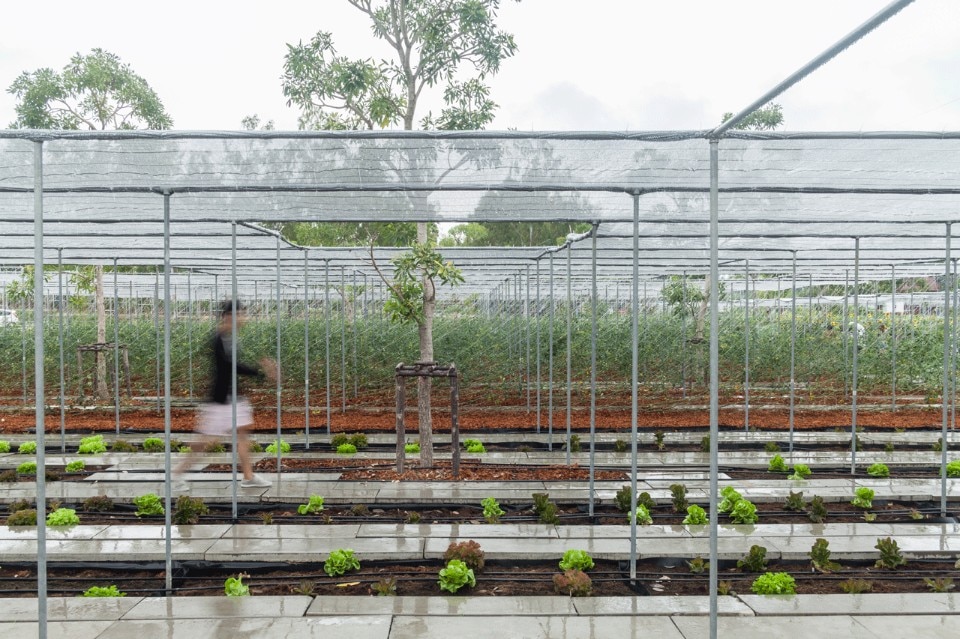 Integrated Field, Coro farms, Suan Pheung, Thailand
