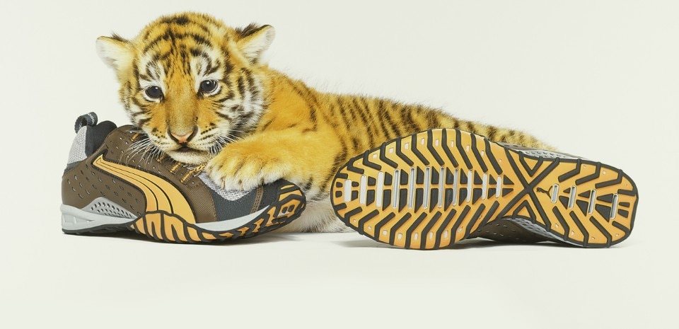 Andrew Zuckerman, New Stuff/Tiger, Puma, 2016