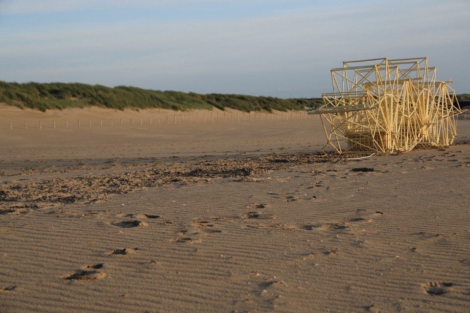 Theo Jansen, Strandbeest, Bruchus, The Hague, 2016