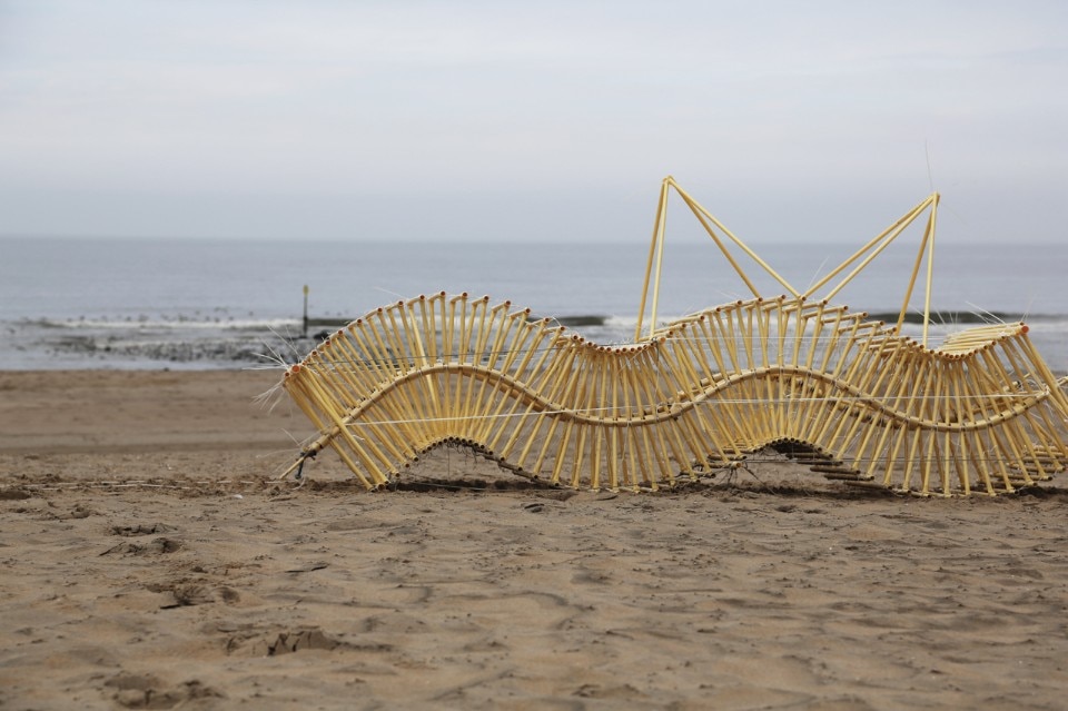 Theo Jansen, Strandbeest, Bruchus, L'Aia, 2016