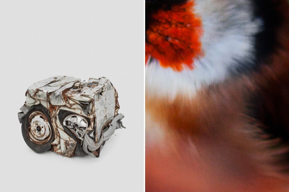 Maria Sturm e Cemre Yeşil, For Birds’ Sake, 2015. Courtesy l'artista