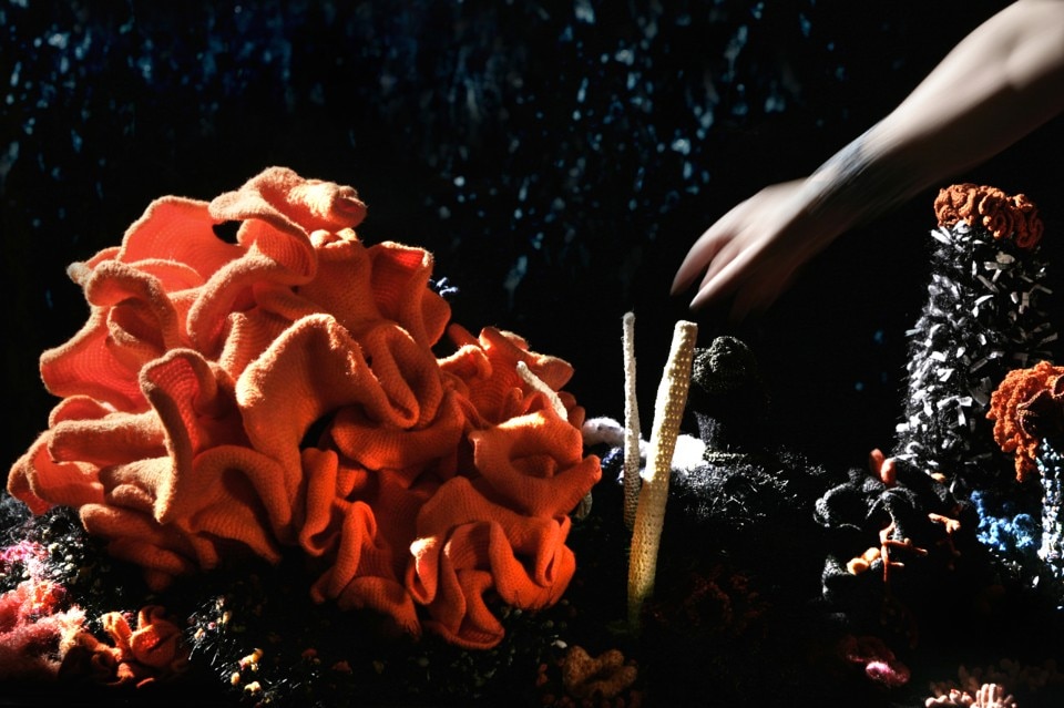 Institute For Figuring, Crochet Coral Reef project, 2005–ongoing. Photo courtesy of the Institute For Figuring