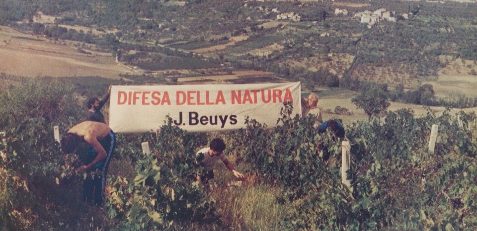 Joseph Beuys, Difesa della natura, 1984