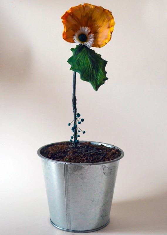 Medicinal Plants: Series 1 Flower 3, Shayna Fonseka, Icing Sugar, 2016