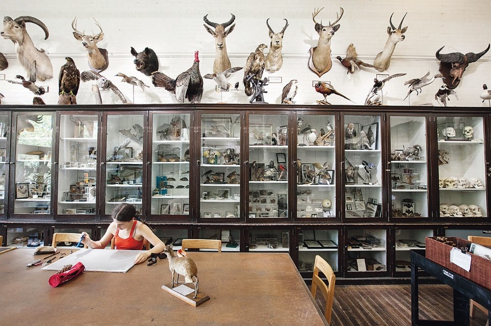 Rhode Island School of Design, Nature Lab Edna W. Lawrence Rhode Island School of Design, Nature Lab Edna W. Lawrence