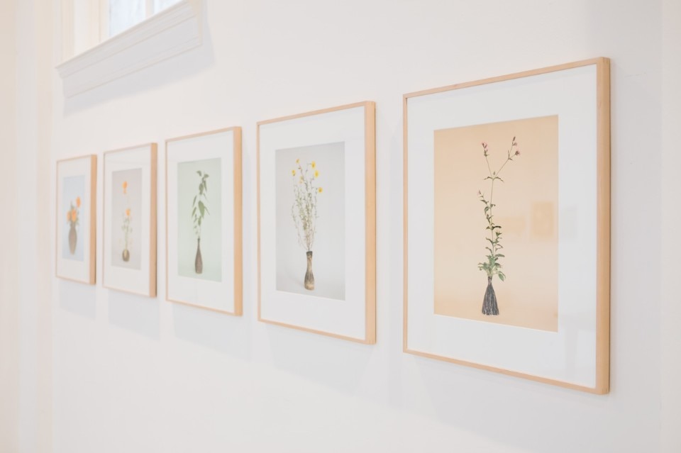 Diana Scherer, “Interwoven and Nurture Studies”, Droog Hotel, Amsterdam, 2016