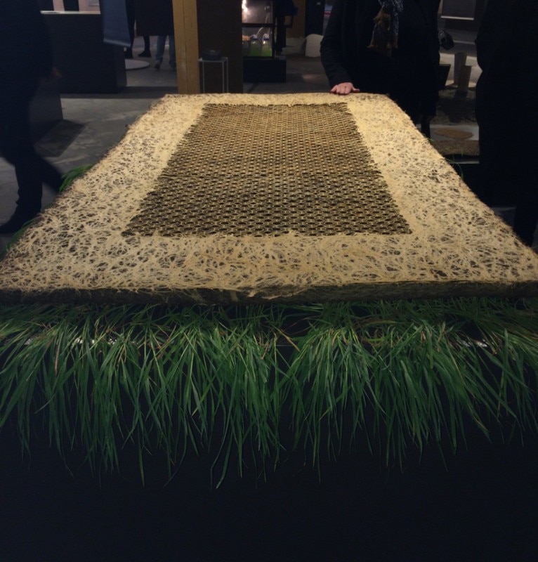 Diana Scherer, “Interwoven and Nurture Studies”, Droog Hotel, Amsterdam, 2016