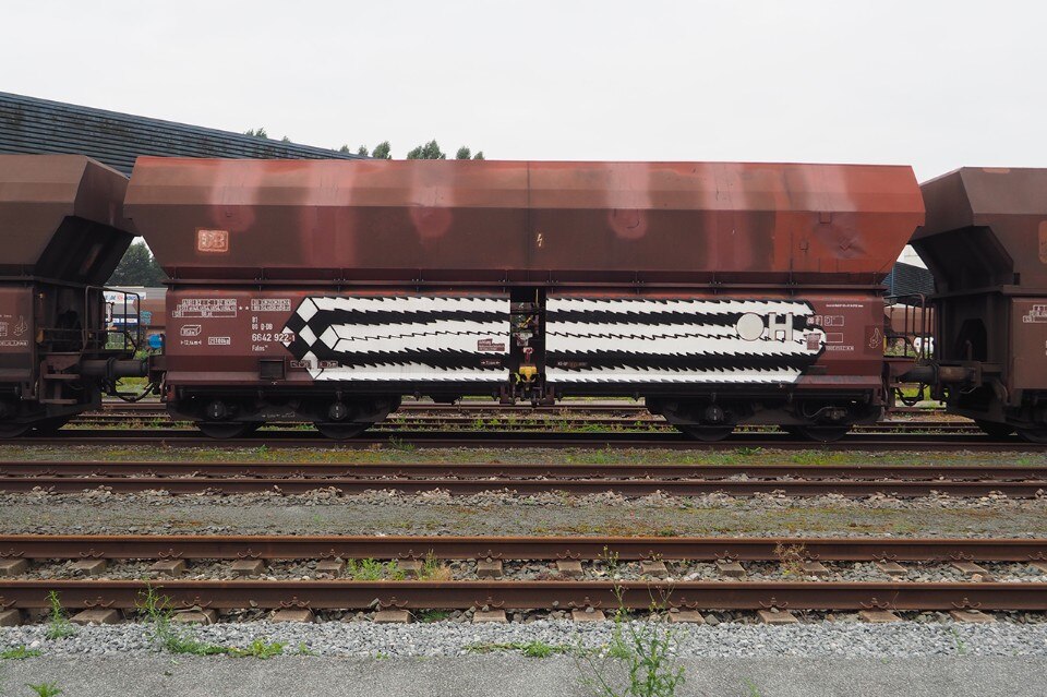Boris Tellegen aka Delta, train painting Boris Tellegen aka Delta, train painting