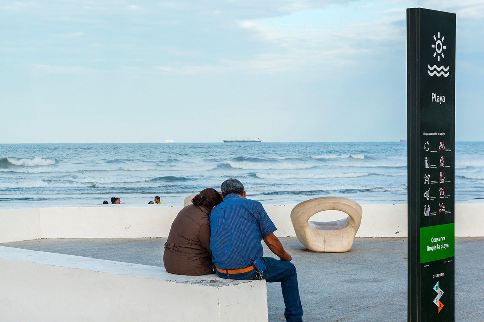 Ariel Roja, Distrito Boca, Veracruz, 2017