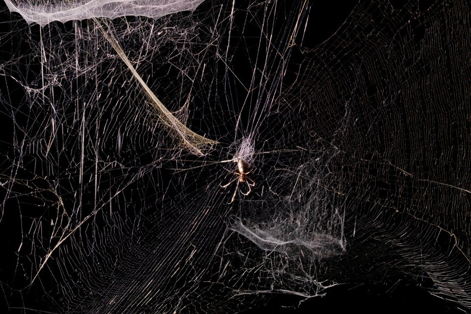 Img.3 “Tomás Saraceno – Aerosolar Journeys”, exhibition view Museum Haus Konstruktiv, 2017. Photo Stephan Altenburger