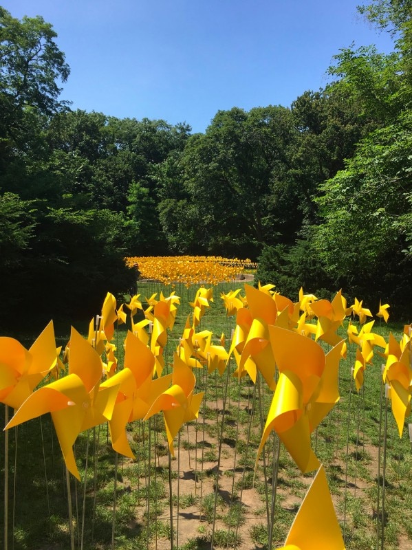 AREA4 and Suchi Reddy, Connective Project, Prospect Park, New York, 2017