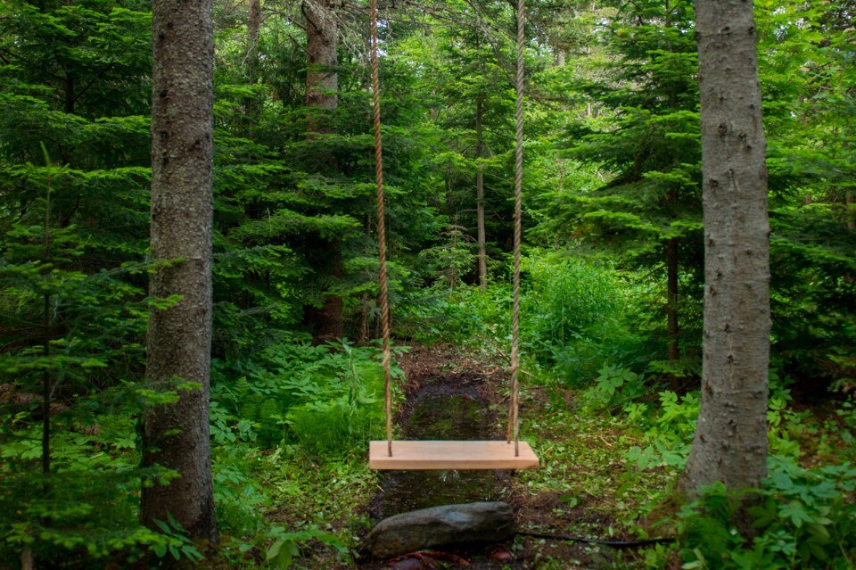 Francisco A. Garcia Pérez and Alessandra Vignotto, Haiku, 2017