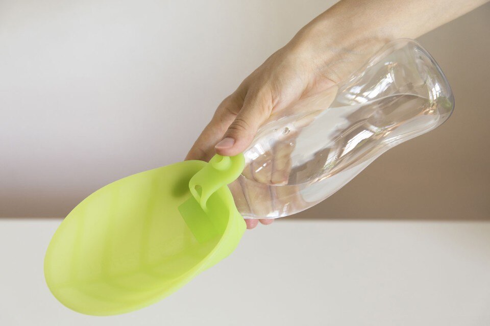  Img.8 Designlibero, Leaf for United Pets, 2017