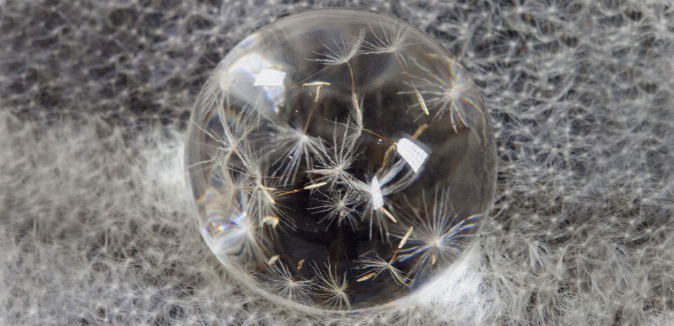 Duy Anh Nhan Duc, L’éveil, 2017