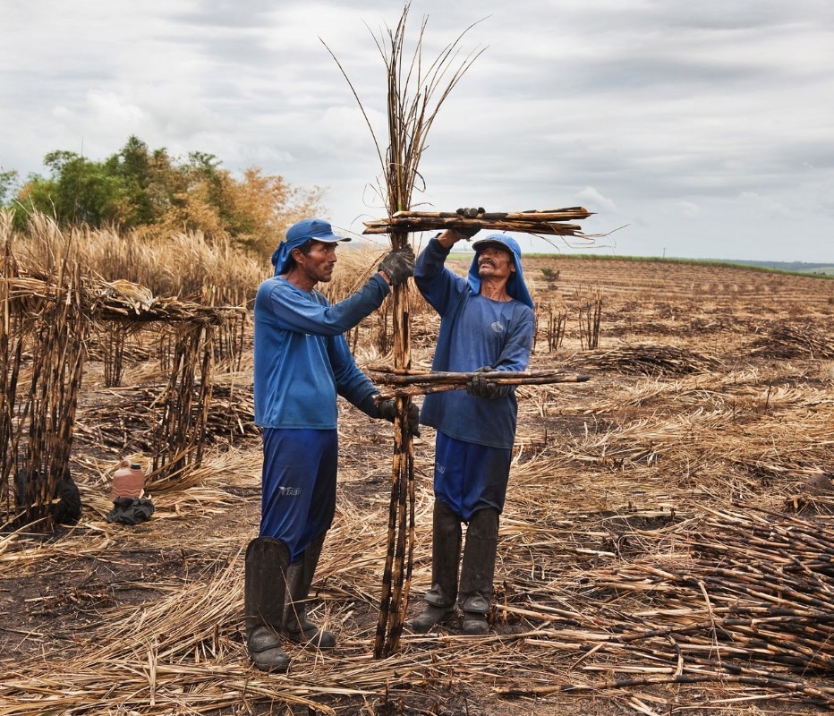 Jonathas de Andrade, ABC da Cana / Sugarcane ABC, 2014