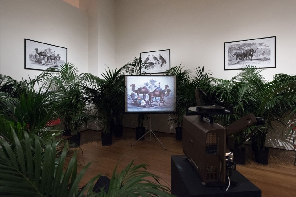 Marcel Broodthaers, Un jardin d’hiver II, 1974 Marcel Broodthaers, Un jardin d’hiver II, 1974