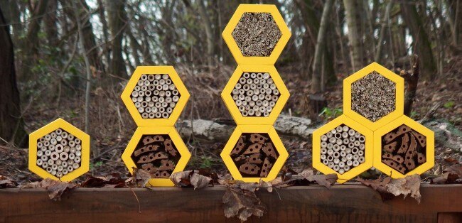 Dilna Hammer, Insect Hotels, 2017