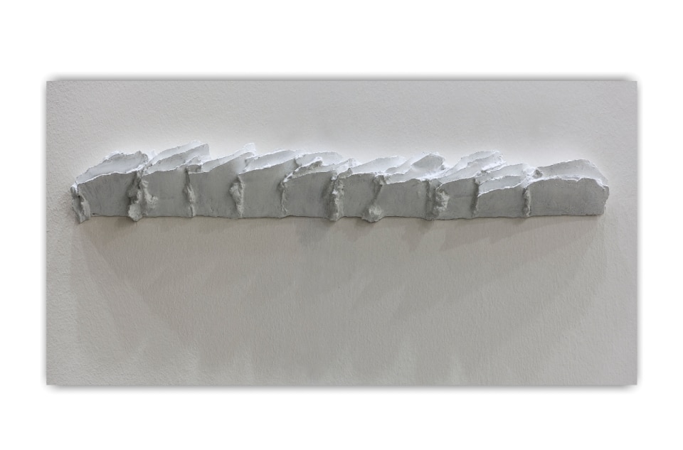 Paolo Icaro, Fregio 1983