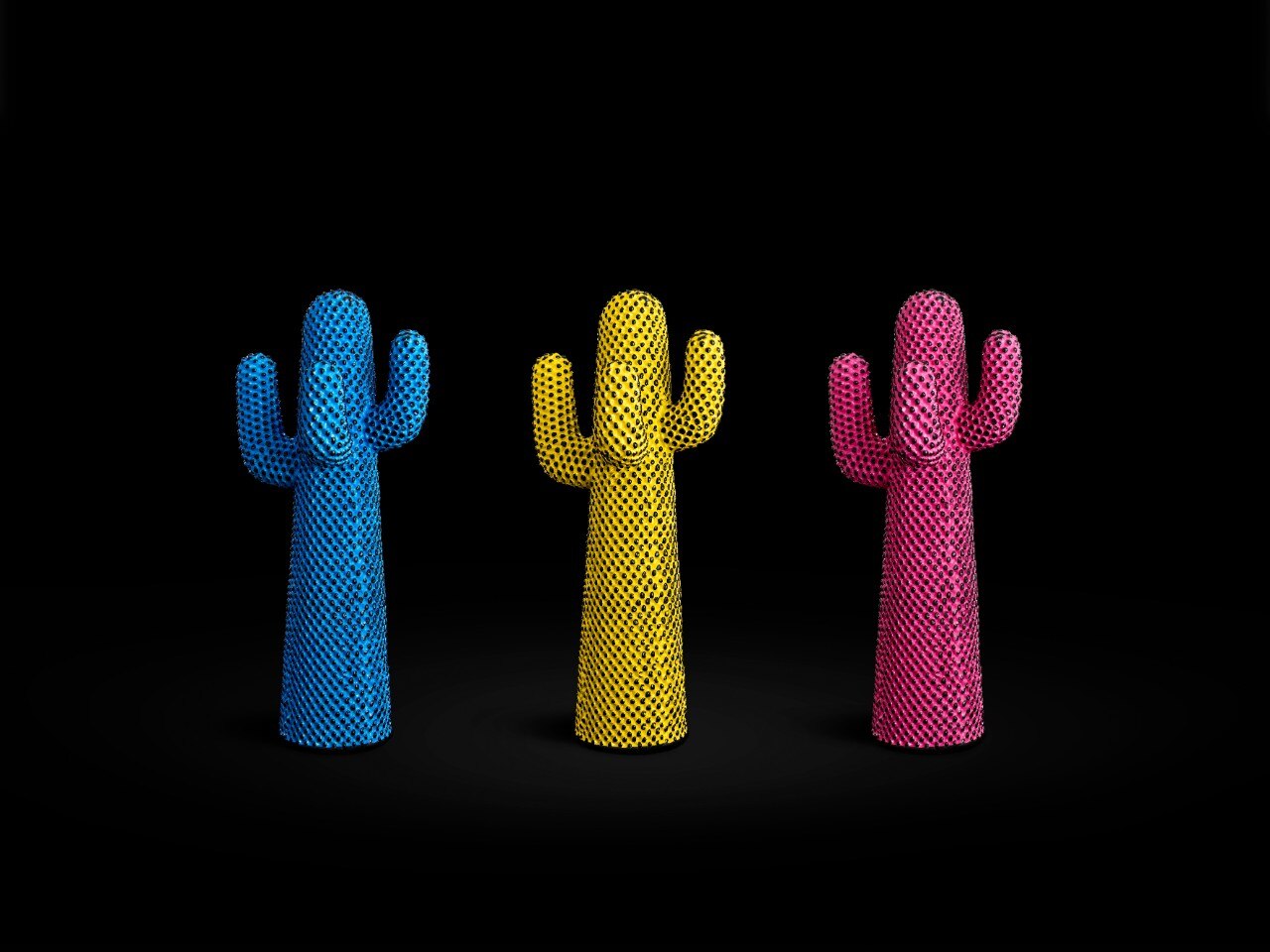 domus-andyscactus-1.jpg.foto.