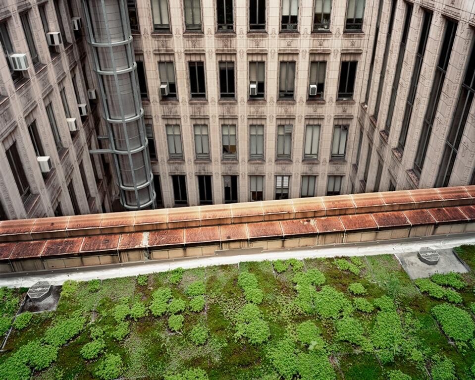 <i>Mellon Institute (looking North), Pittsburgh May 2011.</i> © Brad Temkin.