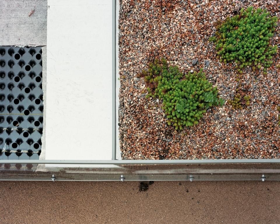 <i>Deconstructed Roof Planting, County Building, Pittsburg May 2011.</i> © Brad Temkin.