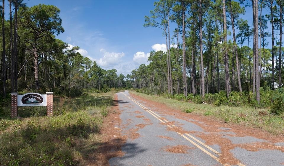 <i>Magnolia Bay Entrance,</i> 2009. © Daniel Kariko.
<i>Magnolia Bay Entrance,</i> 2009. © Daniel Kariko.