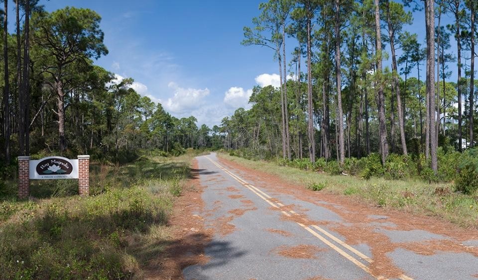 <i>Magnolia Bay Entrance,</i> 2009. © Daniel Kariko.
