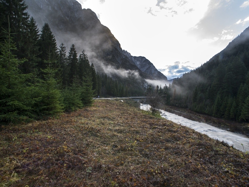 Alessio Guarino: La Piave