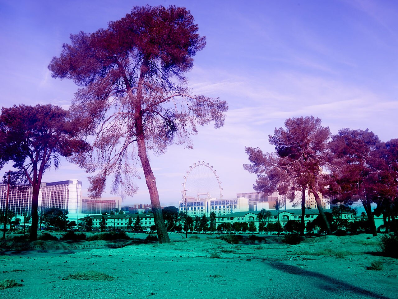 a-corrupt-nature-domus