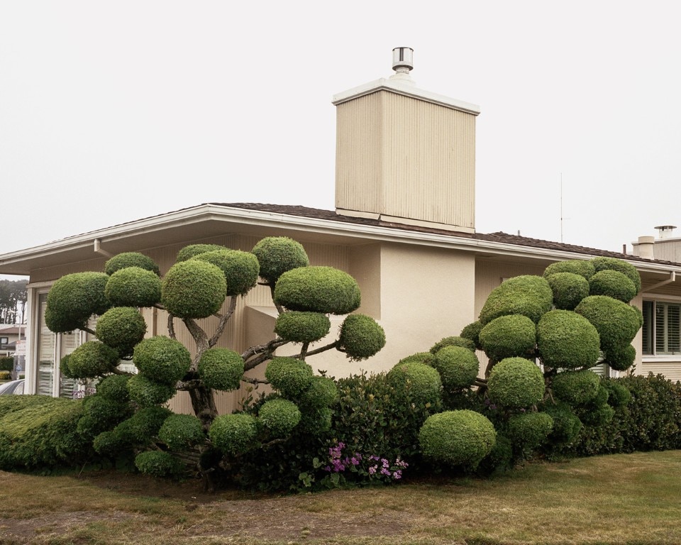 Marc Alcock, <i>California Topiaries</i>