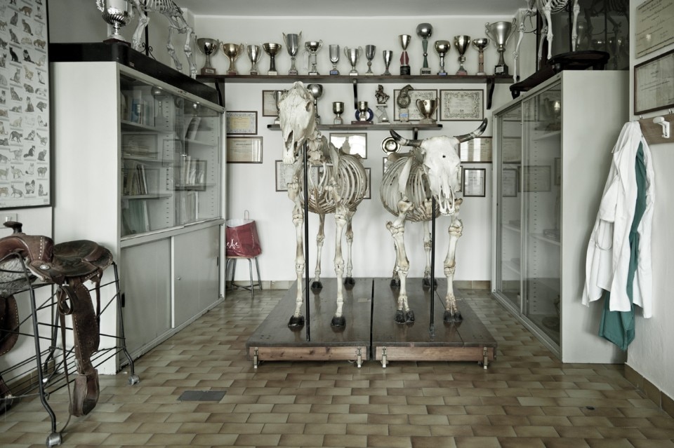 Sissi Cesira Roselli, Archaeologies of schools. The Atlas, 2012–2016