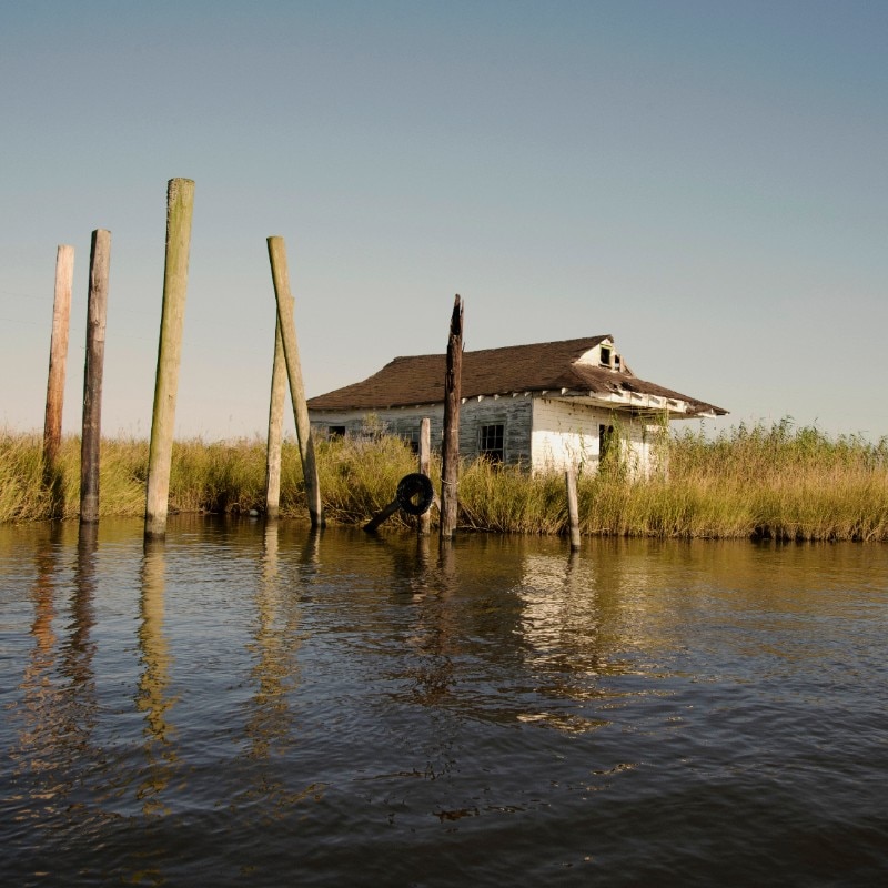 Louisiana is one of the American states mostly affected by erosion. Photographer Virginia Hanusik has been documenting this socio-economic phenomenon for years. Lake Verret, Assumption Parish, Louisiana. Photo: Virginia Hanusik.