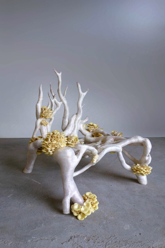 Mycelium chair, (2012-2018) by Studio Eric Klarenbeek 