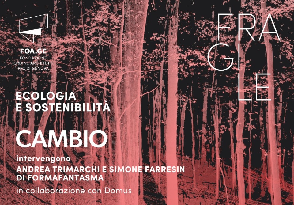 FOAGE - webinar sulla filiera del legno con Formafantasma e Domus