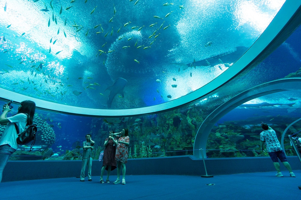 The world’s largest aquarium reveals complexity and contradictions of