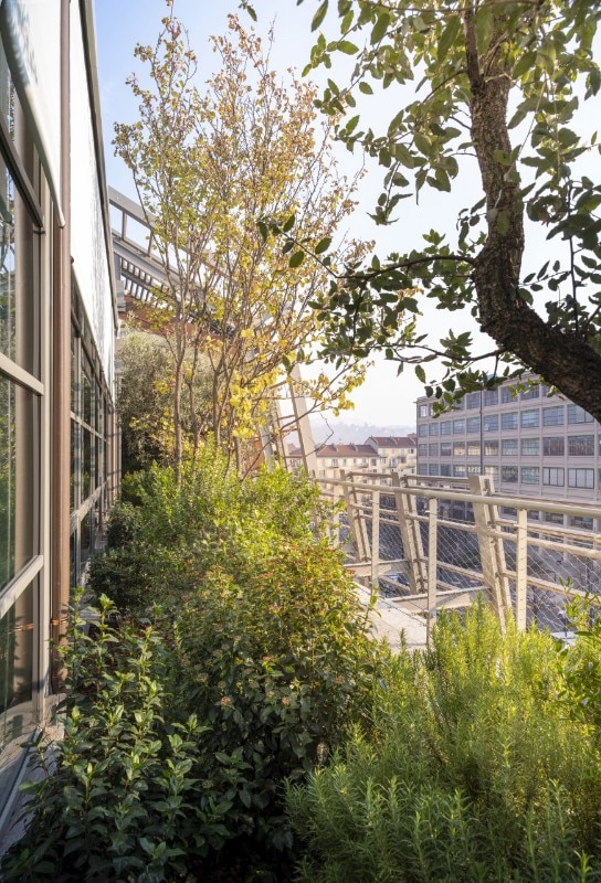 green pea lingotto - domus