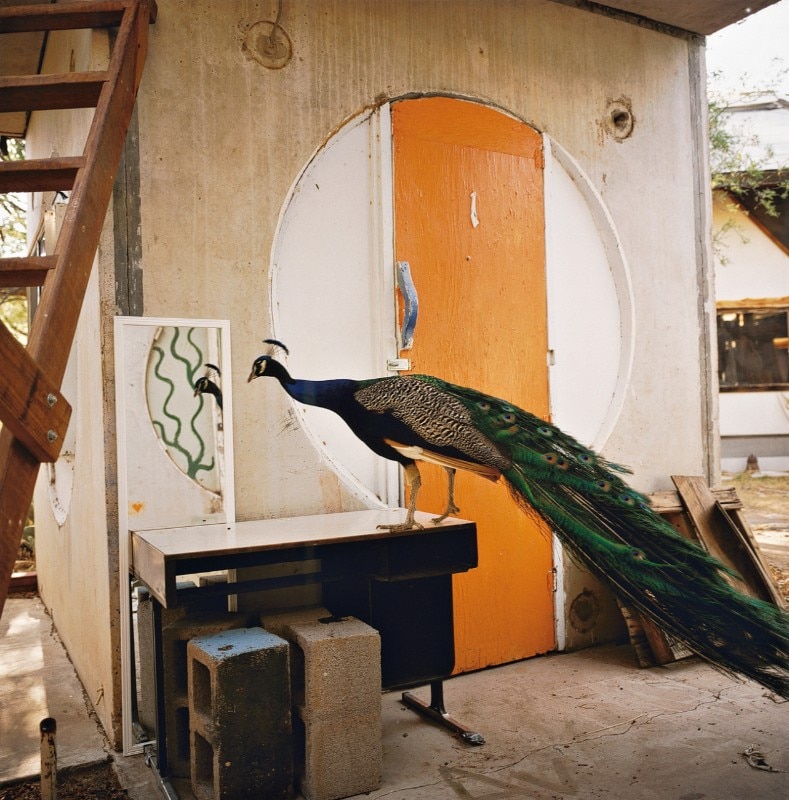 soleri arcosanti - filippo romano - domus soleri arcosanti - filippo romano - domus