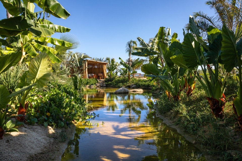 Rubén Valdez e Yashar Yektajo con Polen Arquitectura de Paisaje, B Huber, Fedra interiorismo,  Paradero Hotel, Todos Santos, Bassa California, Messico 2021. Foto Onnis Luque