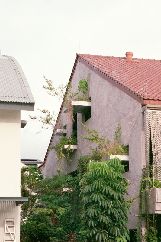 Every Window a Garden, Linghao Architects, Singapore. Courtesy © Linghao Architects. Foto analogiche Fabian Ong