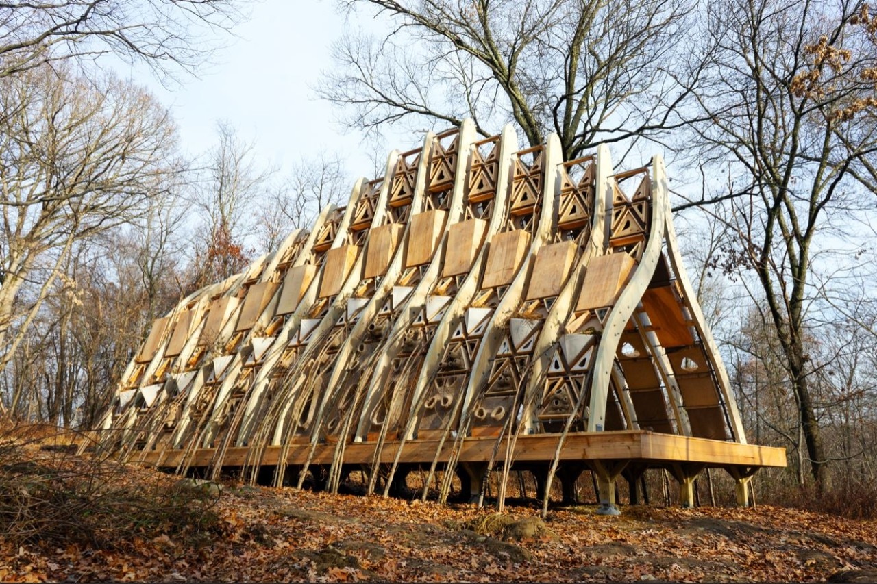 Alive and growing: architectures made of trees