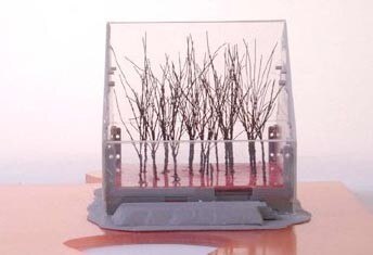 Studio Fuksas, “Un bois dans la maison”