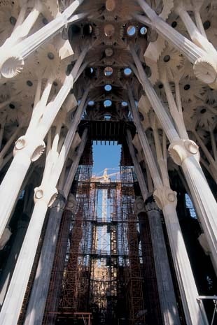 Disorientano la pietra bianca e intatta e le parti interamente nuove della cattedrale