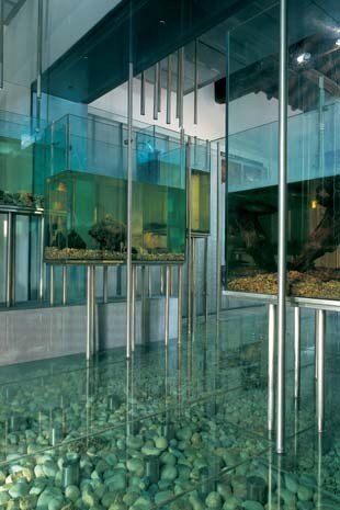 Il museo di Nazzano è concepito come un luogo in cui il visitatore possa percepire in modo attivo la complessità dell’ecosistema naturale. Materiali e sistemi espositivi ricordano l’ambiente fluviale
