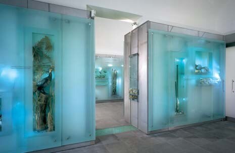 Invece di creare un ambiente unico e inarticolato, il progetto inventa una nuova ‘pelle’ per le pareti. I pannelli di cristallo che le rivestono diventano un sistema per esporre reperti
