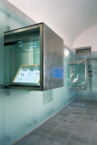 I pannelli di cristallo che le rivestono diventano superfici trasparenti dalle quali emergono bacheche a sbalzo
