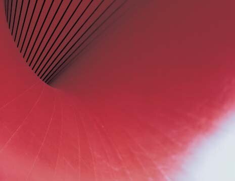 Particolare dell’opera battezzata dall’artista Marsia