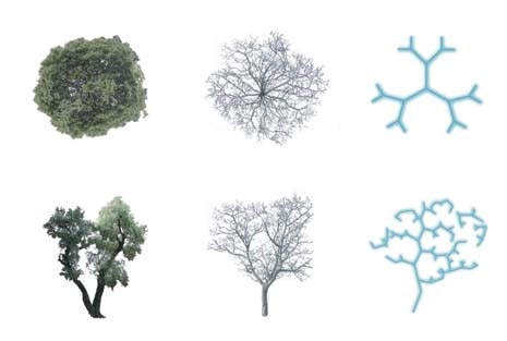 Ridge Watertree (Albero d’acqua di crinale) è il disegno stilizzato - in pianta - di un albero. Valley Watertree (Albero d’acqua di fondovalle) è il disegno stilizzato - in sezione - di un albero