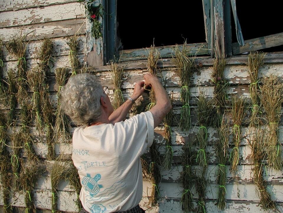 Il Detroit Collaborative Design Center (DCDC) e il Progetto delle case a schiera affrontano entrambi i temi della miglioria e del decadimento urbano con l'impiego di pratiche sociali creative e la partecipazione attiva da parte dei cittadini